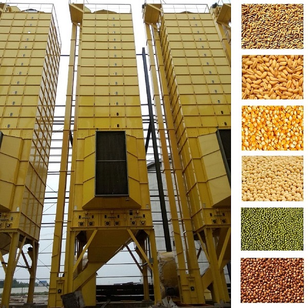 5HGM-50 Rice Paddy Corn Maize Grain Dryer Machine 