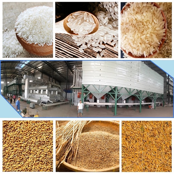 60-80TPD Complete Parboiled Rice Processing Machines